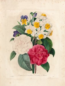 Bouquet de camélias, narcisses et pensées, gravé par Victor, de 